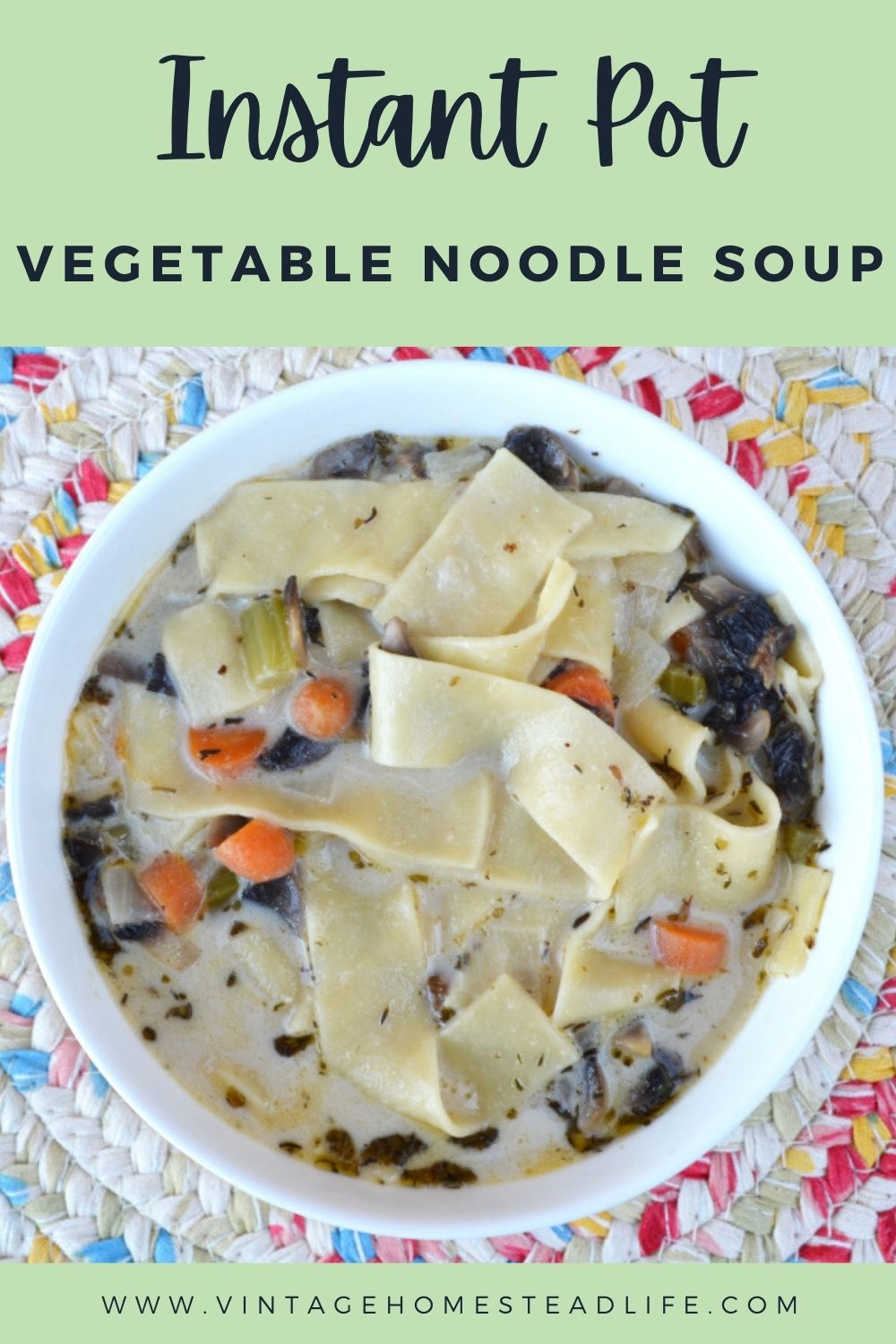instant pot vegetable noodle soup pinterest pin