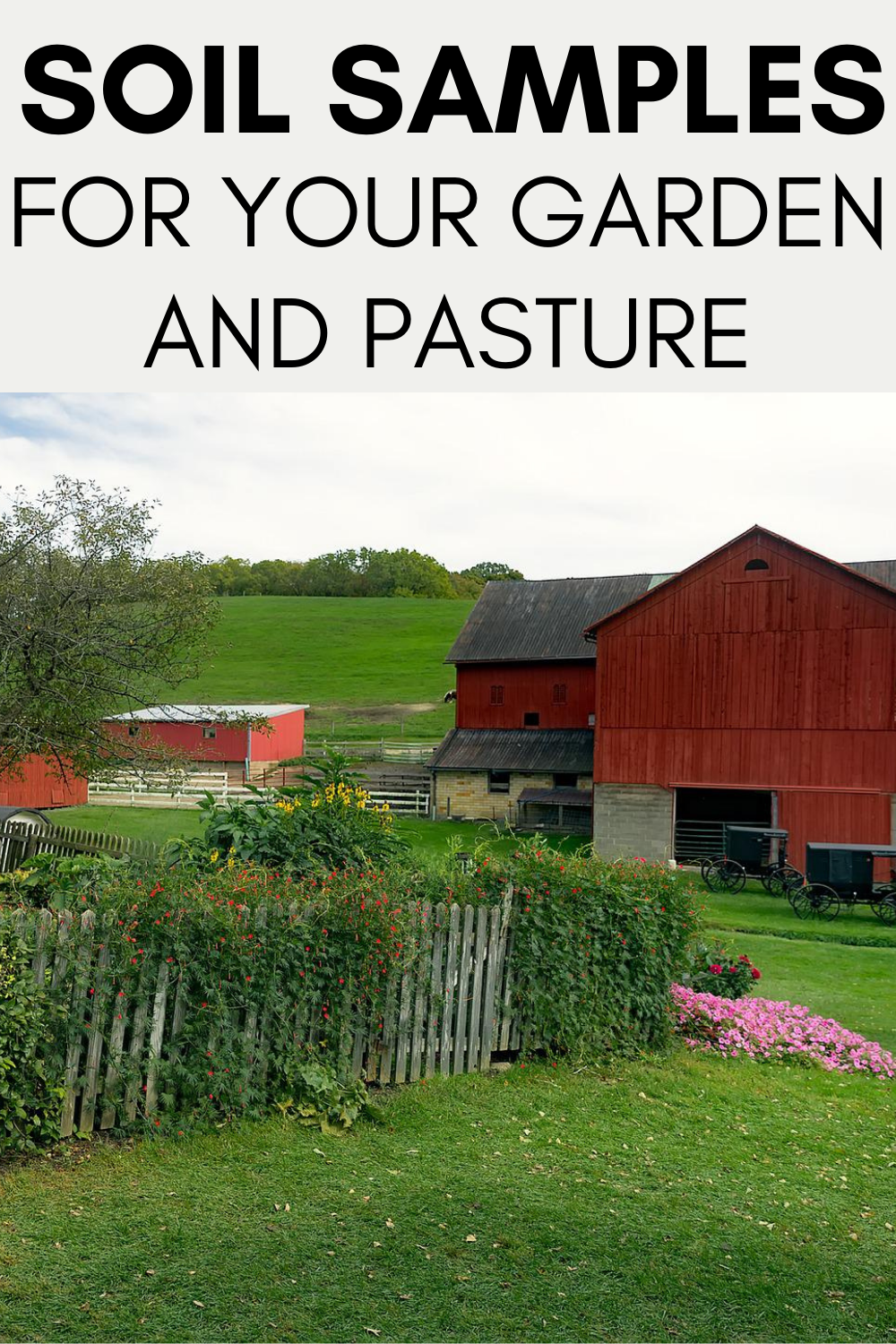 SOIL SAMPLE FOR GARDEN AND PASTURE PINTEREST PIN