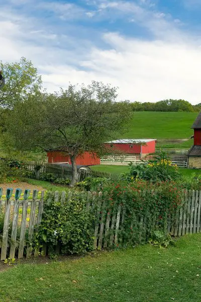 fenced in garden with red barn in background