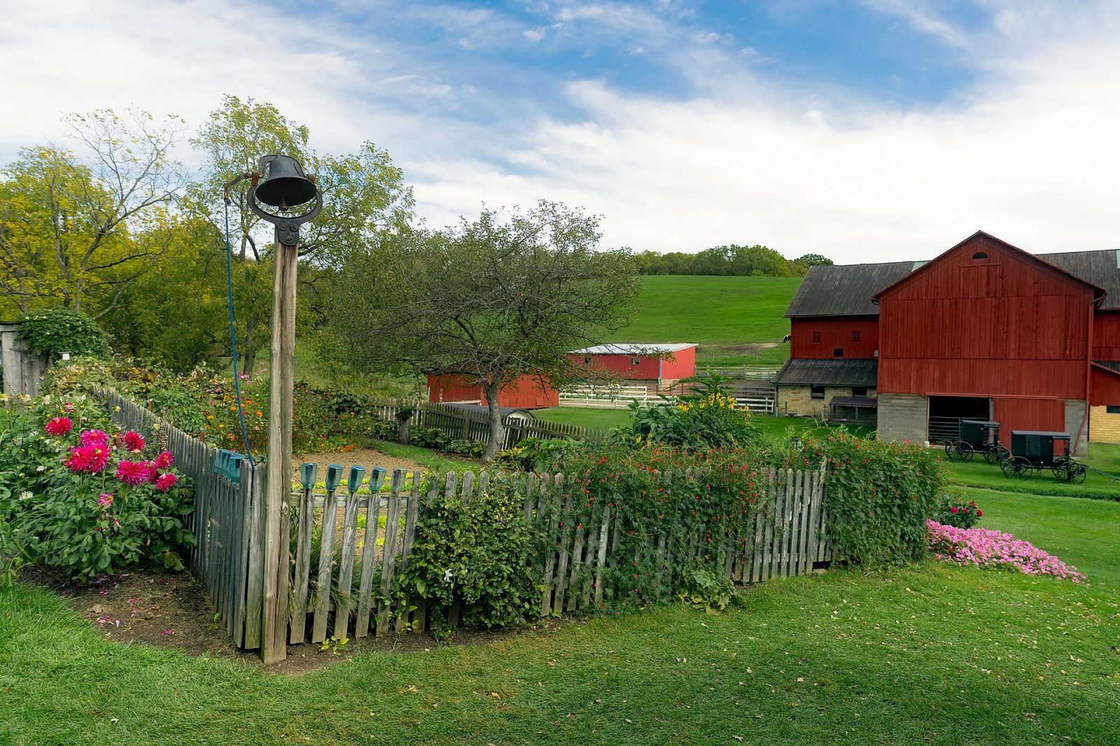 fenced in garden with red barn in background