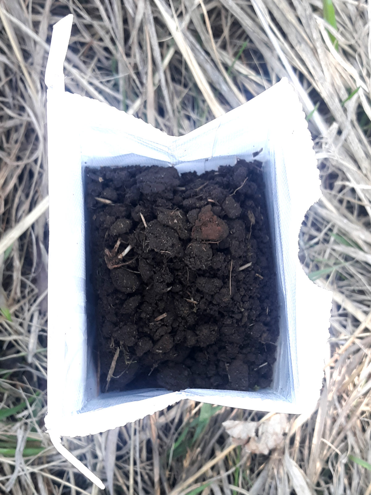 bag with soil sample in it