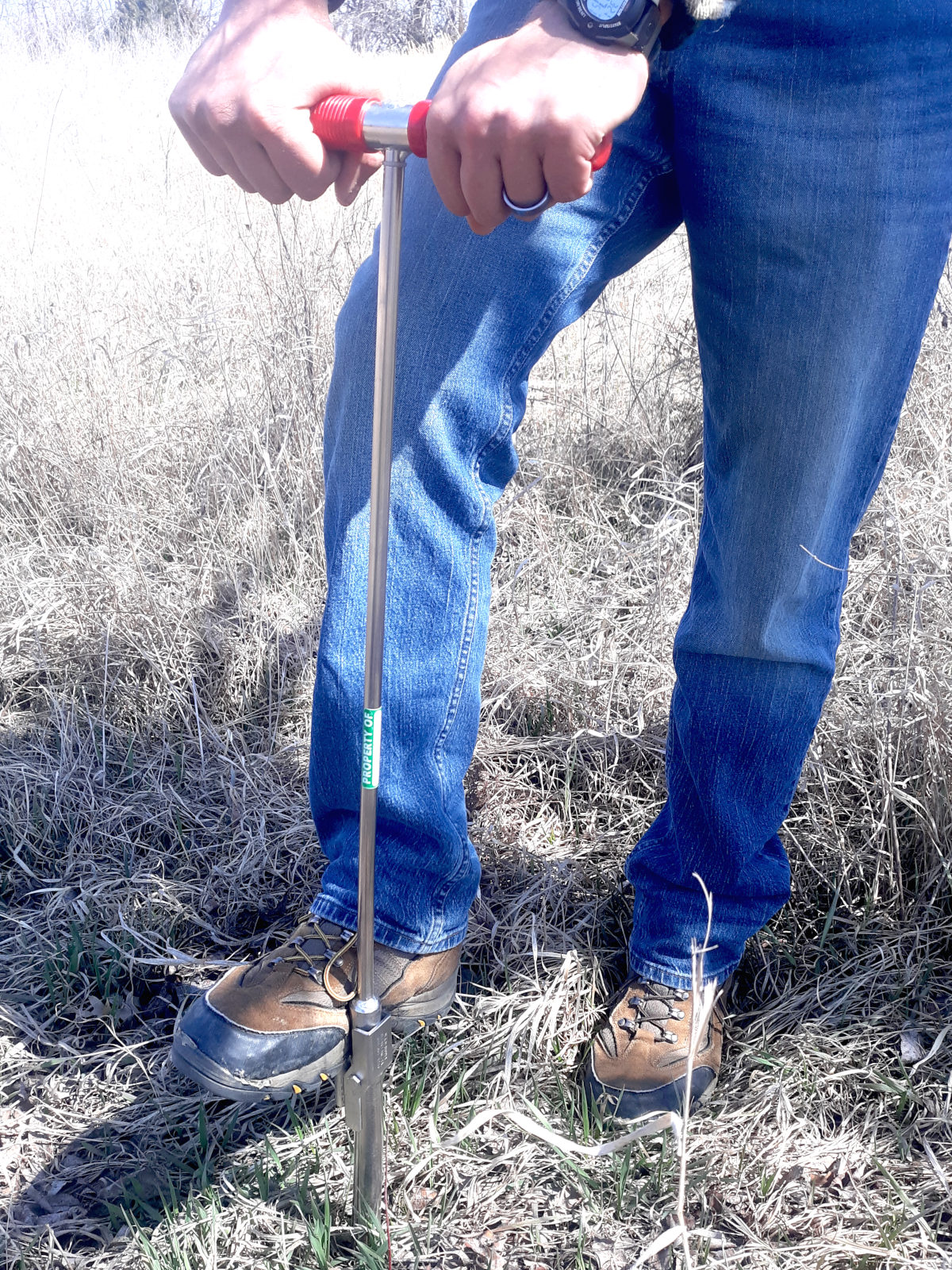 inserting soil probe for soil test