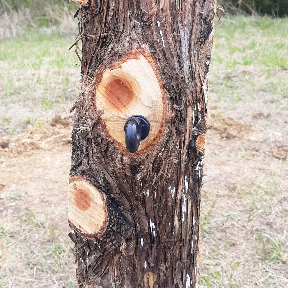 wood post insulators for horse fence