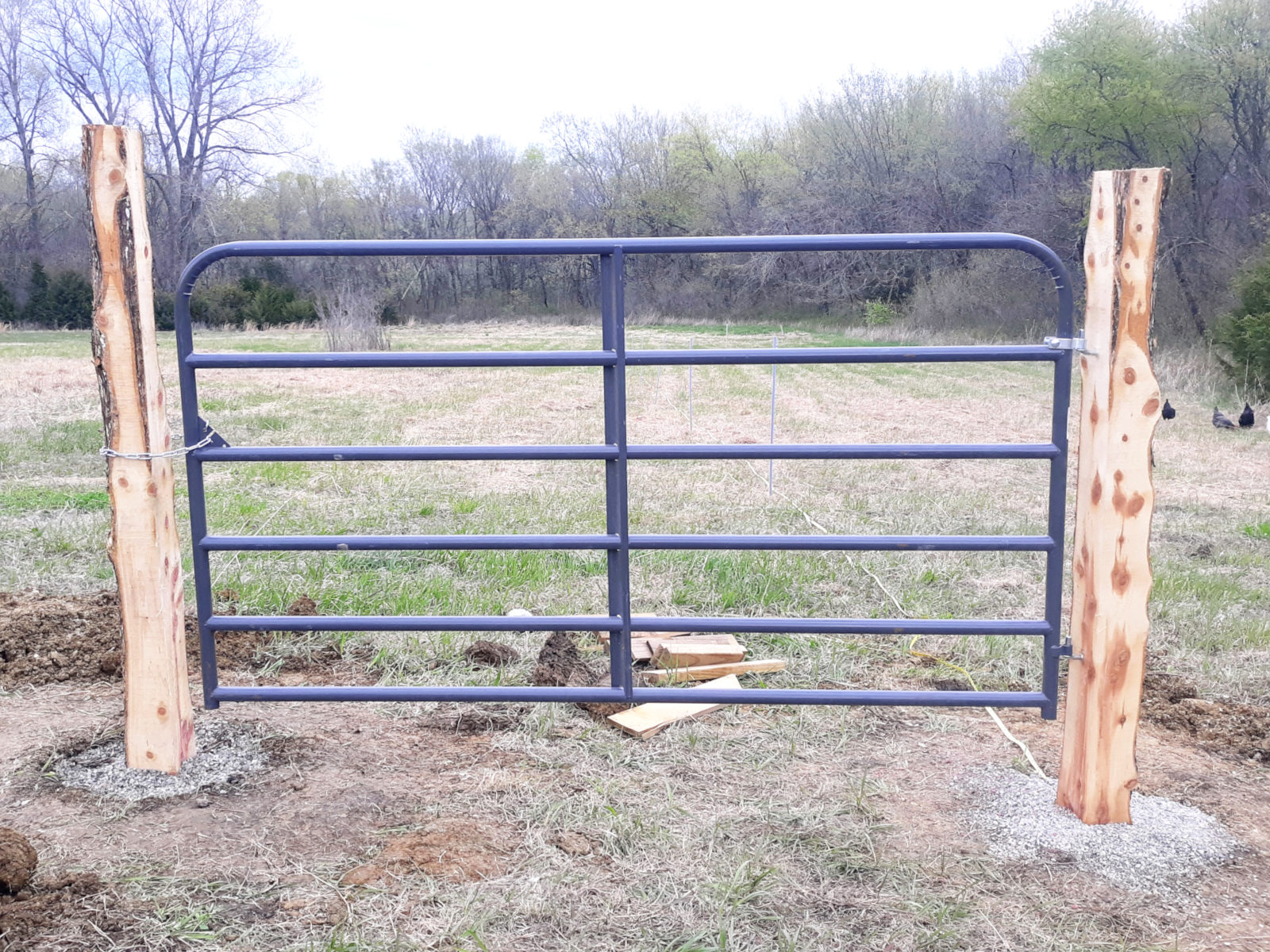 finished gate for horse fence