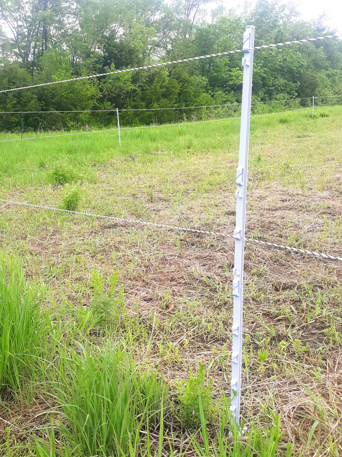 horse fence with two strands of polywire