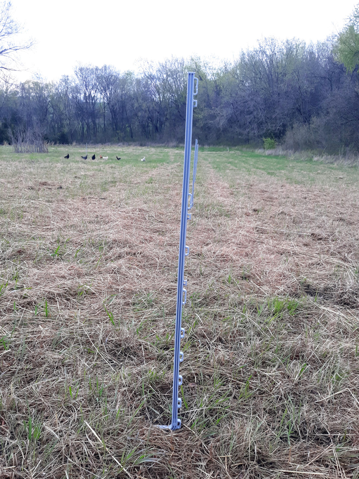 step in posts for horse fence