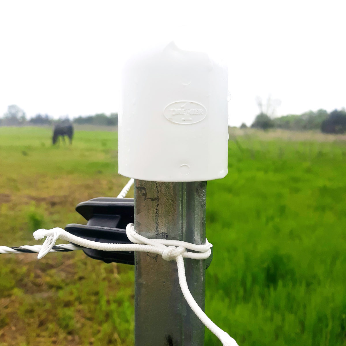 horse fence t post with insulator cap
