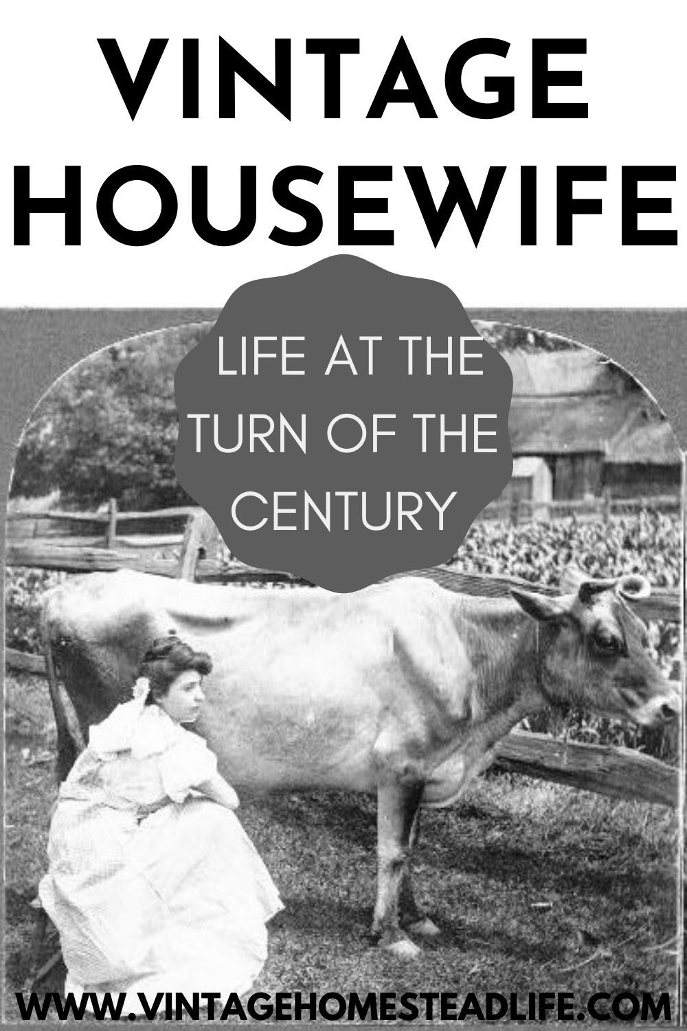 Wartime Wife: Life for the 1940s Housewife