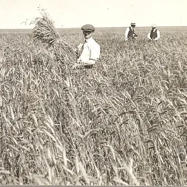 1920s dryland farming