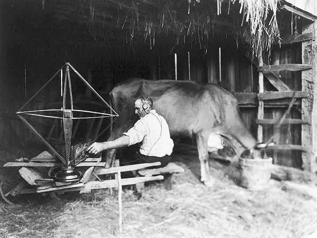 1920s man listening to radio while milking cow