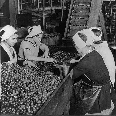 1930s women working