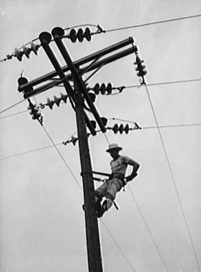 REA worker on electricity pole