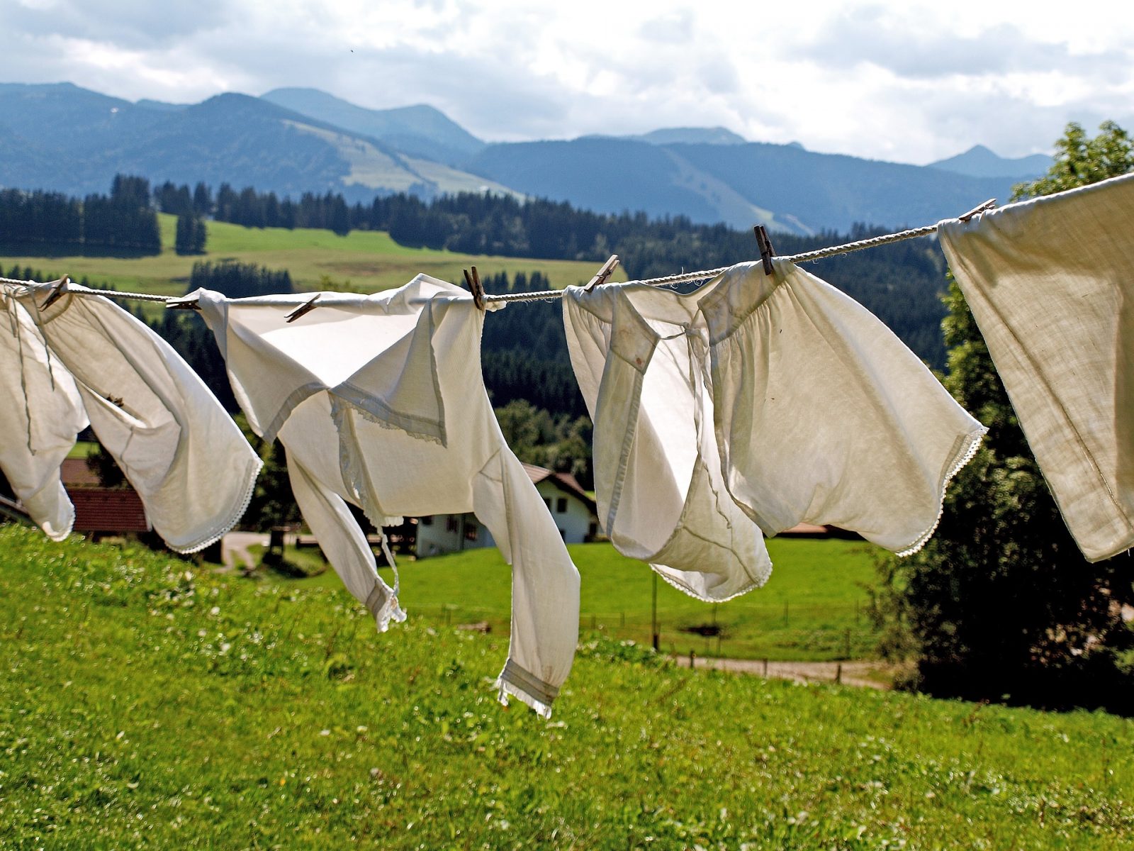 clothes drying on line