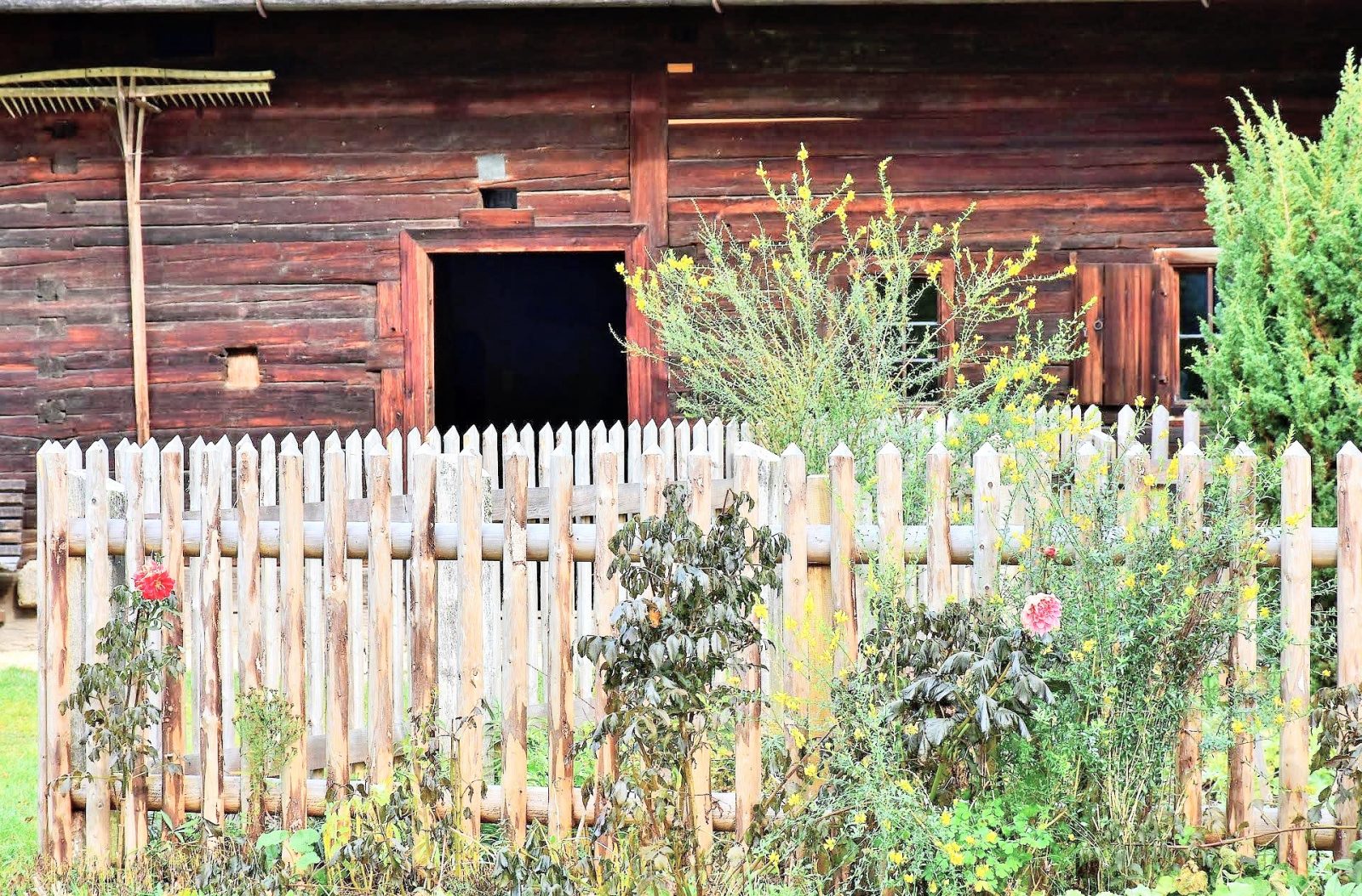 fenced garden with barn in background