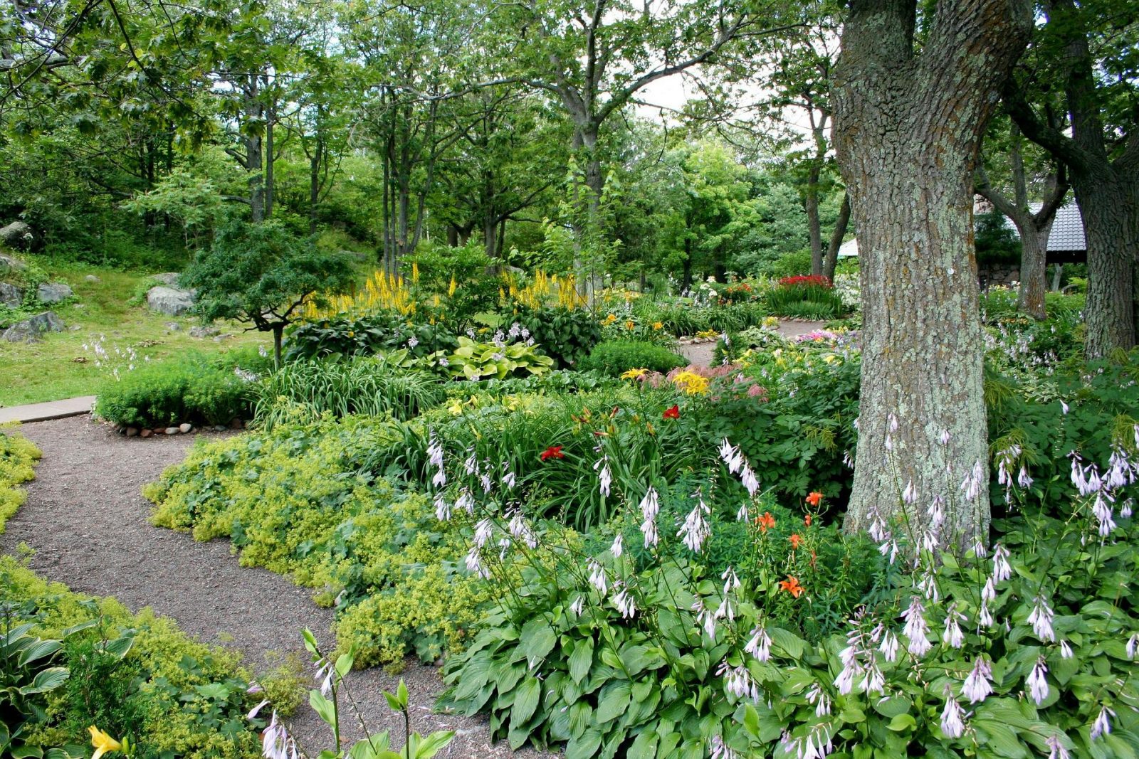 flower garden with gravel path and trees