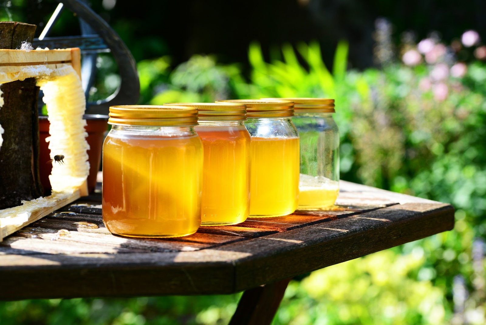 four jars of fresh honey sitting on outdoor table
