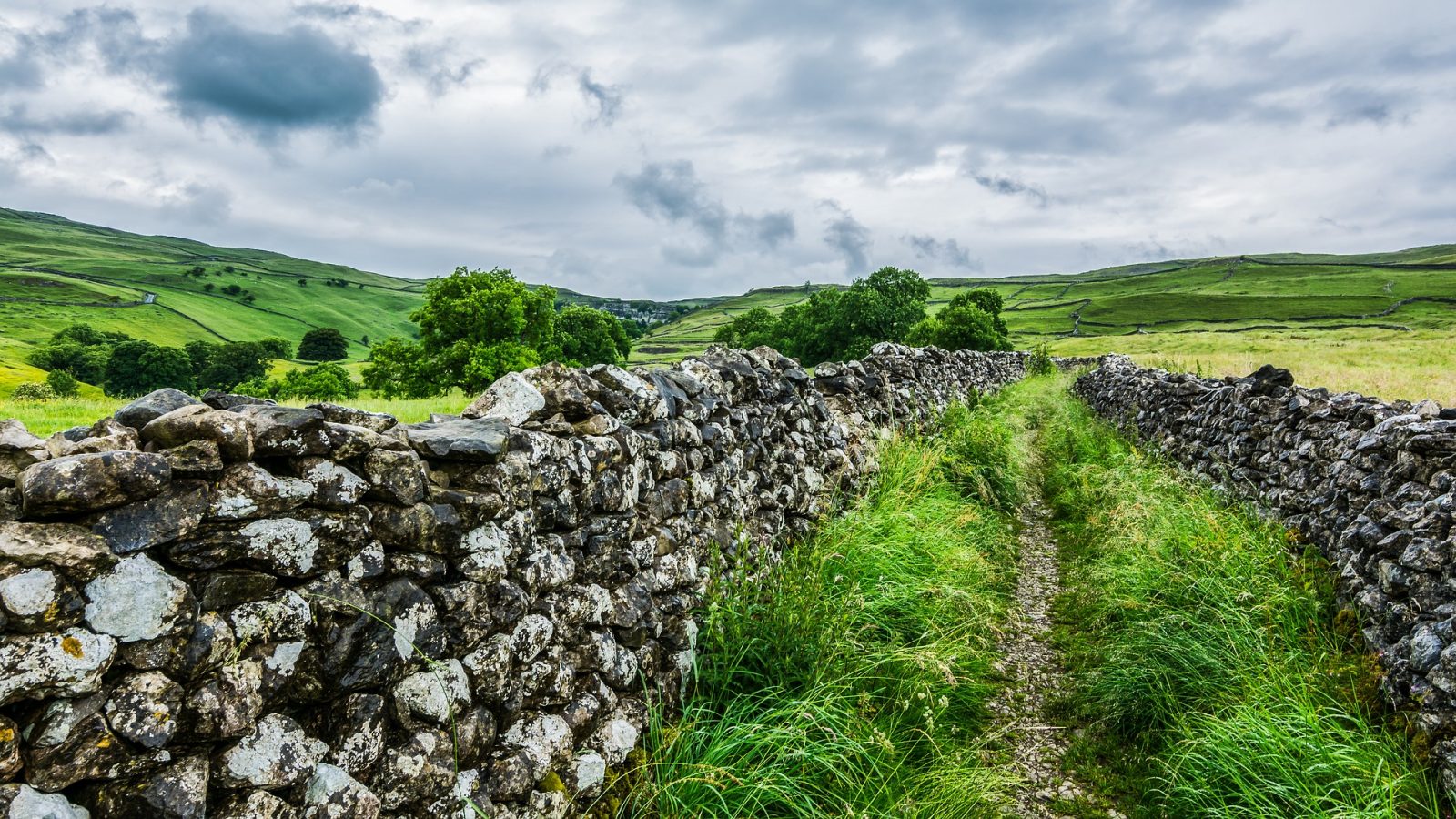 lane with stone wall in yorkshire