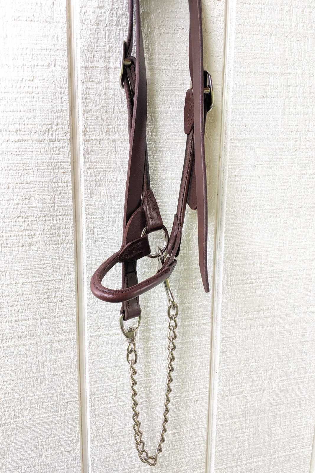 brown dairy cow show halter