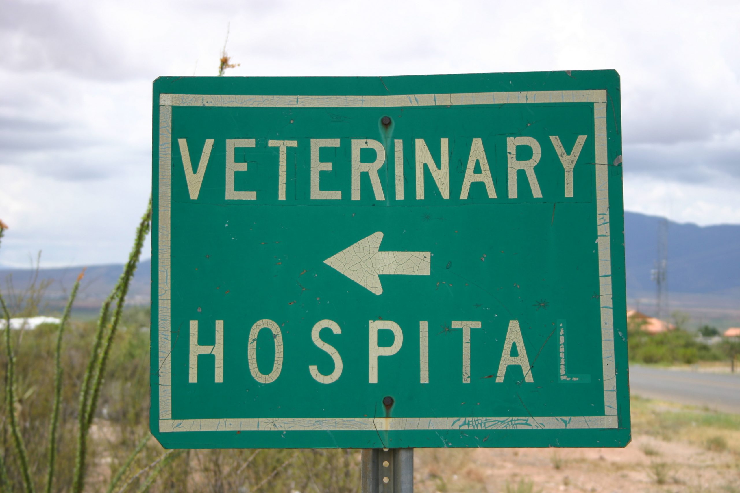 veterinary hospital road sign